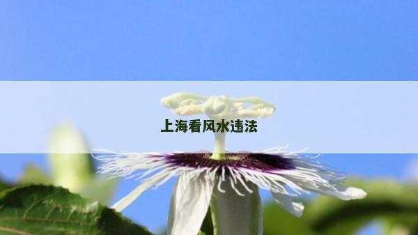 上?？达L水違法