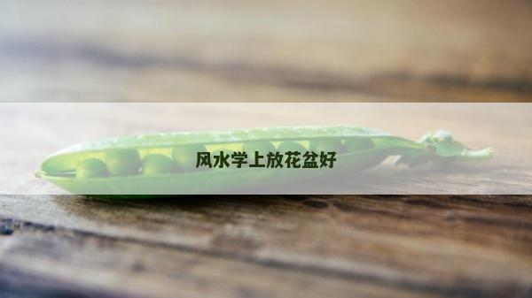風水學上放花盆好