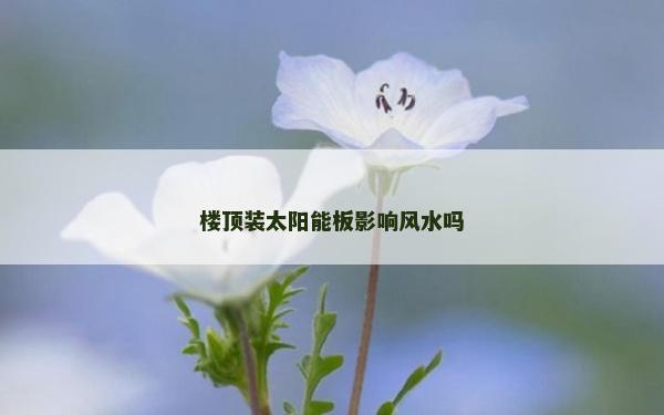 樓頂裝太陽能板影響風水嗎
