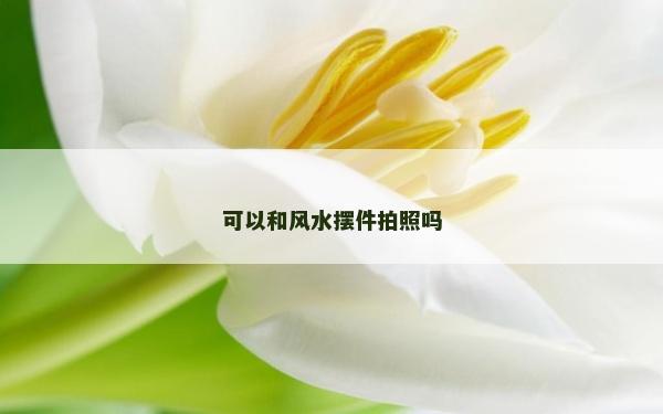 可以和風水擺件拍照嗎