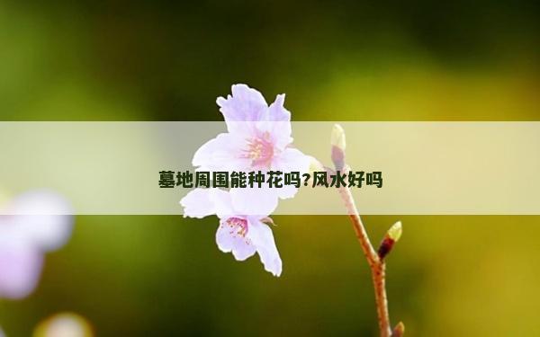 墓地周圍能種花嗎?風水好嗎 墓地周圍能種花嗎?風水好嗎