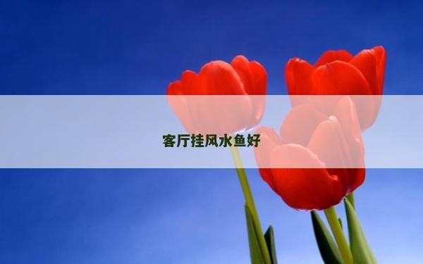 客廳掛風(fēng)水魚(yú)好