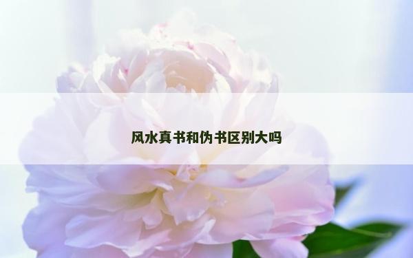 風(fēng)水真書和偽書區(qū)別大嗎