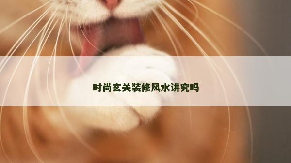 時尚玄關裝修風水講究嗎
