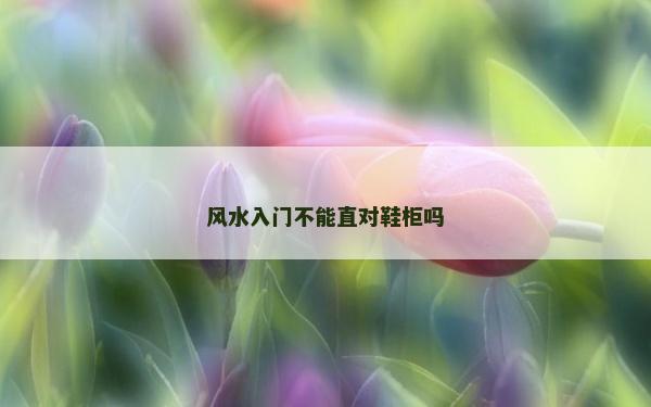 風水入門不能直對鞋柜嗎