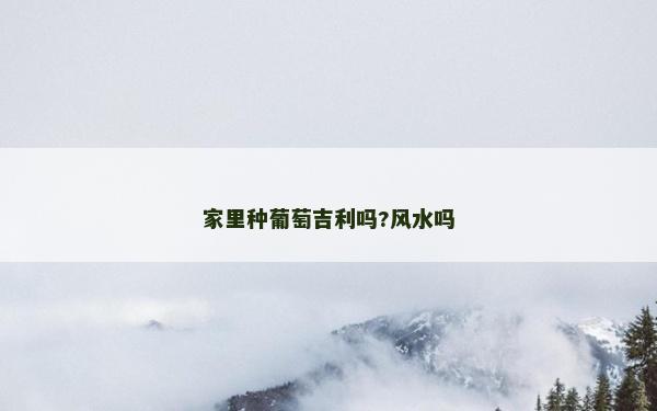 家里種葡萄吉利嗎?風(fēng)水嗎 家里種葡萄吉利嗎?風(fēng)水嗎