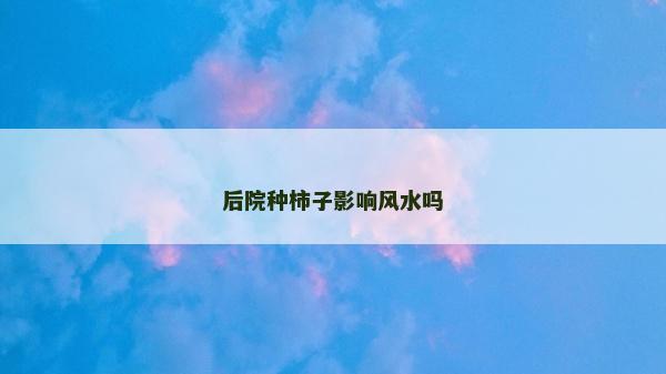 后院種柿子影響風水嗎 后院種柿子影響風水嗎