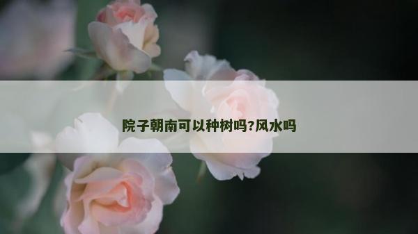 院子朝南可以種樹嗎?風水嗎