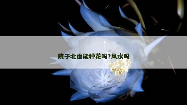 院子北面能種花嗎?風水嗎
