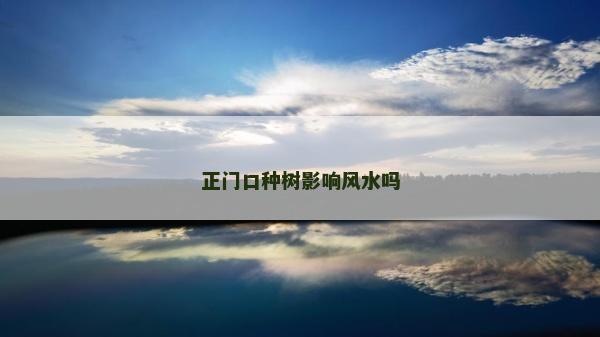 正門口種樹影響風水嗎