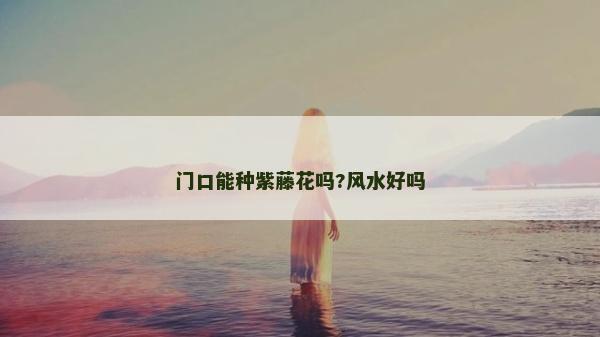 門口能種紫藤花嗎?風(fēng)水好嗎