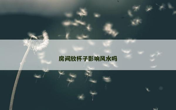 房間放杯子影響風水嗎