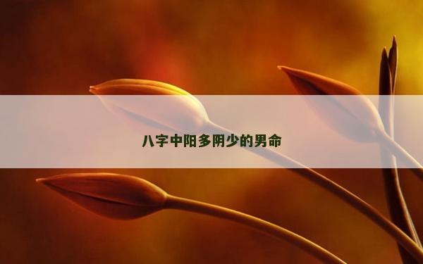 八字中陽多陰少的男命