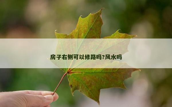 房子右側可以修路嗎?風水嗎 房子右側可以修路嗎?風水嗎