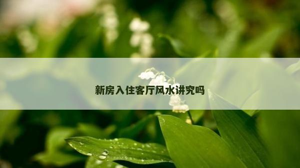 新房入住客廳風(fēng)水講究嗎