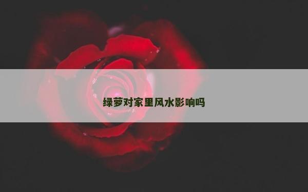 綠蘿對家里風(fēng)水影響嗎