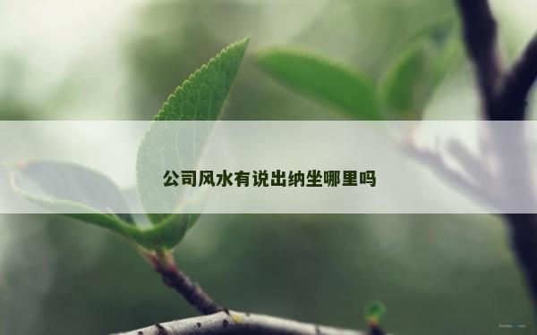 公司風水有說出納坐哪里嗎