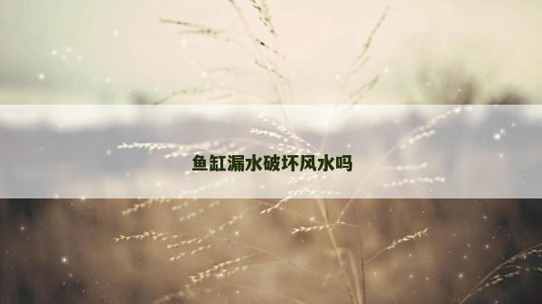 魚缸漏水破壞風(fēng)水嗎 魚缸漏水破壞風(fēng)水嗎