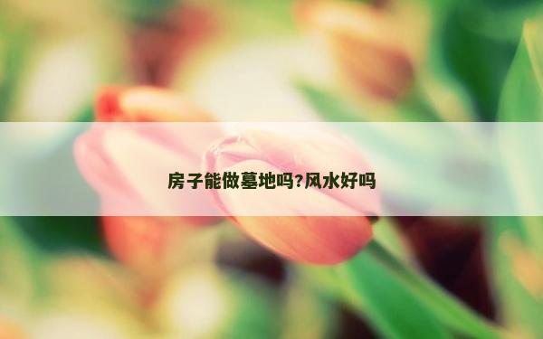 房子能做墓地嗎?風水好嗎 房子能做墓地嗎?風水好嗎