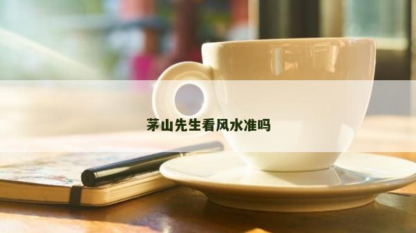 茅山先生看風水準嗎