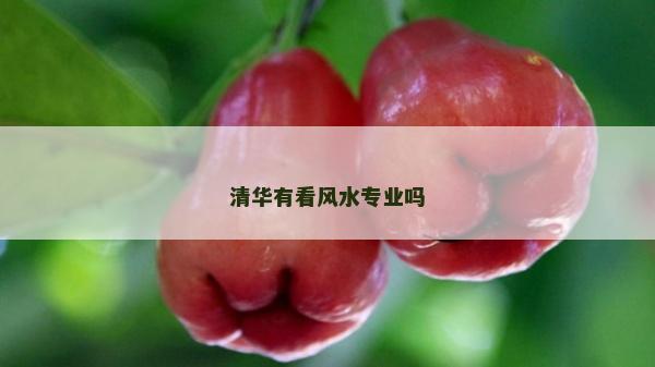 清華有看風水專業嗎