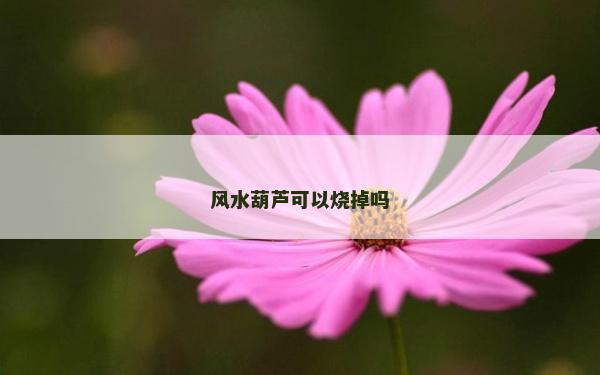 風水葫蘆可以燒掉嗎 風水葫蘆可以燒掉嗎