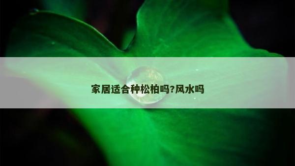 家居適合種松柏嗎?風水嗎