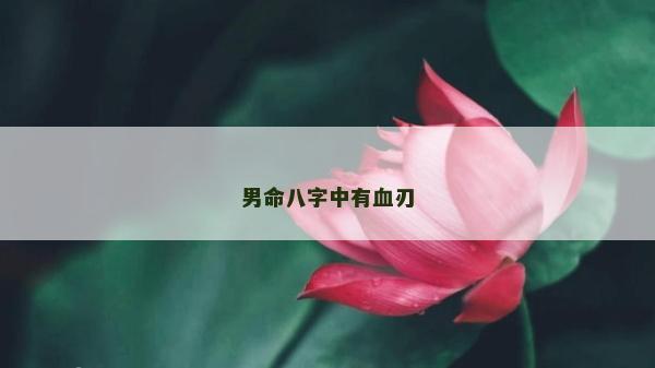男命八字中有血刃 男命八字中有血刃