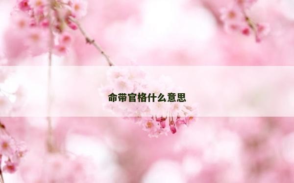 命帶官格什么意思