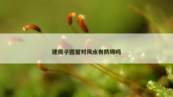 建房子圓窗對風水有防礙嗎