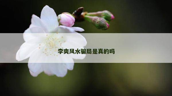 李爽風水騙局是真的嗎