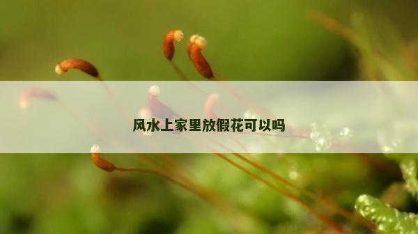 風水上家里放假花可以嗎