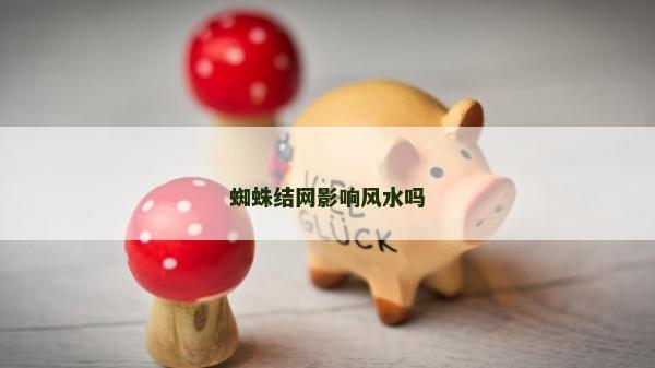 蜘蛛結網影響風水嗎