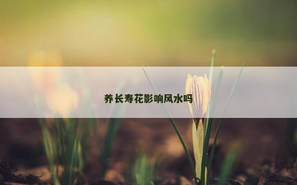 養長壽花影響風水嗎