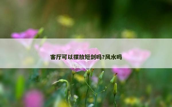 客廳可以擺放短劍嗎?風水嗎