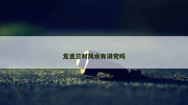 龍舌蘭對(duì)風(fēng)水有講究嗎