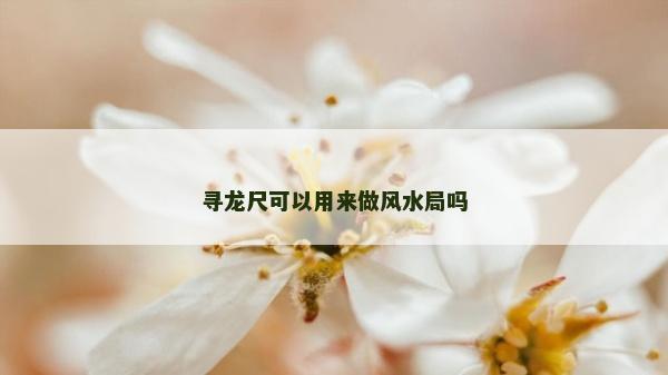 尋龍尺可以用來(lái)做風(fēng)水局嗎