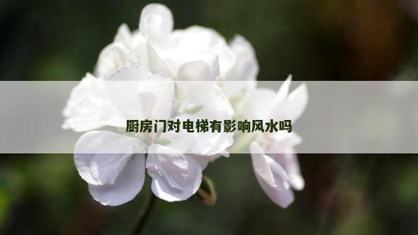 廚房門對電梯有影響風水嗎