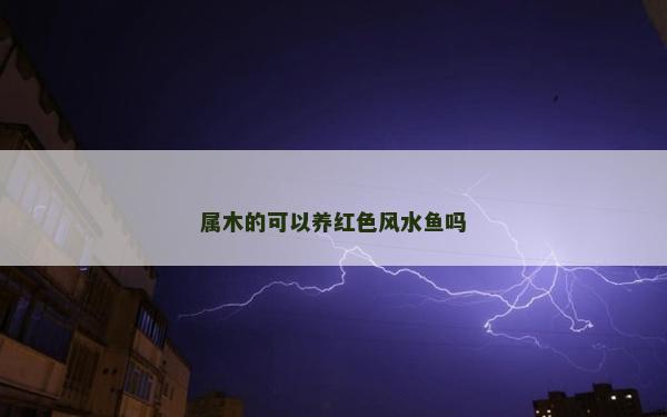 屬木的可以養紅色風水魚嗎