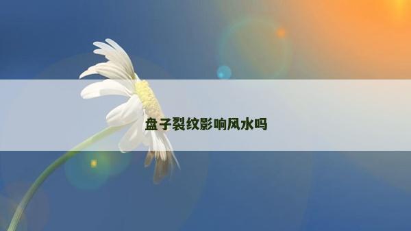 盤(pán)子裂紋影響風(fēng)水嗎