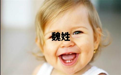 魏姓洋氣的男孩名字,取什么名字好