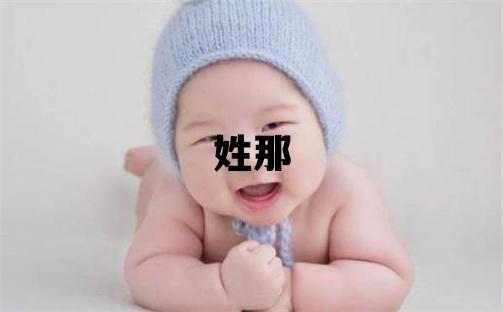 姓那叫什么名字好 姓那的男孩洋氣的名字