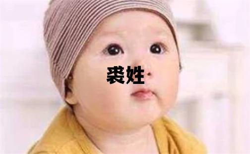 裘姓取名冷門獨特的男寶寶名字