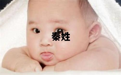 秦姓有創意的女孩名字