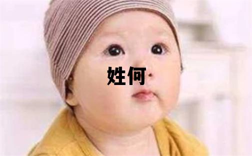 姓何叫什么名字好 姓何的男孩優美的名字