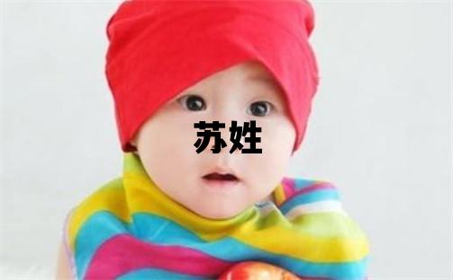 蘇姓有涵養的男寶寶名字