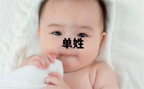 單姓大氣文雅的男孩名字
