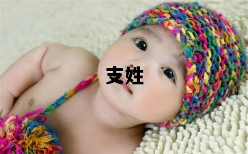 支姓優美大方的男寶寶名字